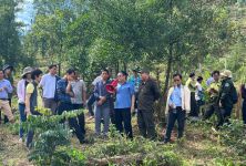 Tăng cường phối hợp trong xóa bỏ cây trồng có chứa chất ma túy - thực tiễn triển khai và giải pháp từ ngành nông nghiệp”