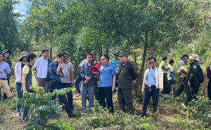 Tăng cường phối hợp trong xóa bỏ cây trồng có chứa chất ma túy - thực tiễn triển khai và giải pháp từ ngành nông nghiệp” Tăng cường phối hợp trong xóa bỏ cây trồng có chứa chất ma túy - thực tiễn triển khai và giải pháp từ ngành nông nghiệp”