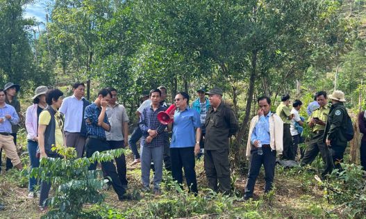 Tăng cường phối hợp trong xóa bỏ cây trồng có chứa chất ma túy - thực tiễn triển khai và giải pháp từ ngành nông nghiệp” Tăng cường phối hợp trong xóa bỏ cây trồng có chứa chất ma túy - thực tiễn triển khai và giải pháp từ ngành nông nghiệp”