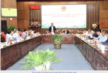 Chú trọng công tác quy hoạch, đảm bảo sinh kế lâu dài cho người dân