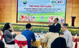 Hội nghị tập huấn Dự án “Phát triển hệ thống lương thực - thực phẩm đảm bảo dinh dưỡng” Hội nghị tập huấn Dự án “Phát triển hệ thống lương thực - thực phẩm đảm bảo dinh dưỡng”