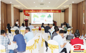 Tập huấn Dự án phát triển hệ thống lương thực thực phẩm đảm bảo dinh dưỡng Tập huấn Dự án phát triển hệ thống lương thực thực phẩm đảm bảo dinh dưỡng