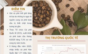 Trung tâm Thông tin-Viện Chiến lược, Chính sách nông nghiệp và môi trường thông tin giá cả mặt hàng cà phê, lúa gạo và rau quả số 31 Trung tâm Thông tin-Viện Chiến lược, Chính sách nông nghiệp và môi trường thông tin giá cả mặt hàng cà phê, lúa gạo và rau quả số 31