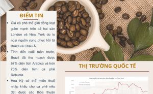 Trung tâm Thông tin/Viện Chiến lược, Chính sách nông nghiệp và môi trường thông tin các mặt hàng cà phê, lúa gạo và rau quả số 30 Trung tâm Thông tin/Viện Chiến lược, Chính sách nông nghiệp và môi trường thông tin các mặt hàng cà phê, lúa gạo và rau quả số 30