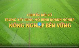 Chuyển đổi số trong xây dựng mô hình doanh nghiệp nông nghiệp bền vững Chuyển đổi số trong xây dựng mô hình doanh nghiệp nông nghiệp bền vững
