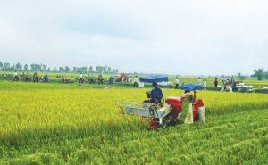 Đề xuất về cơ chế, chính sách hỗ trợ PTSX, tạo việc làm, tăng thu nhập tại tỉnh Quảng Ngãi. Đề xuất về cơ chế, chính sách hỗ trợ PTSX, tạo việc làm, tăng thu nhập tại tỉnh Quảng Ngãi.