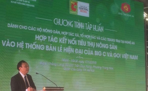 Chương trình tập huấn Hợp tác xã tiêu thụ nông sản vào hệ thống bán lẻ hiện đại của Big C và GO! Việt Nam