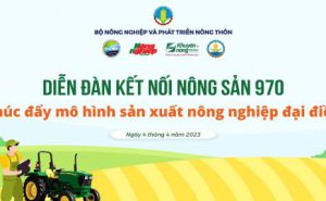 Chào mừng 77 năm ngày HTX Việt Nam (11/4/1946-11/4/2023) Chào mừng 77 năm ngày HTX Việt Nam (11/4/1946-11/4/2023)