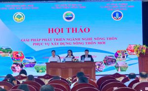 Hội thảo về giải pháp phát triển ngành nghề nông thôn phục vụ xây dựng nông thôn mới Hội thảo về giải pháp phát triển ngành nghề nông thôn phục vụ xây dựng nông thôn mới