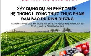 Sổ tay hướng dẫn xây dựng dự án phát triển hệ thống lương thực, thực phẩm đảm bảo đủ dinh dưỡng thuộc Chương trình mục tiêu quốc gia giảm nghèo bền vững giai đoạn 2021 - 2025 Sổ tay hướng dẫn xây dựng dự án phát triển hệ thống lương thực, thực phẩm đảm bảo đủ dinh dưỡng thuộc Chương trình mục tiêu quốc gia giảm nghèo bền vững giai đoạn 2021 - 2025