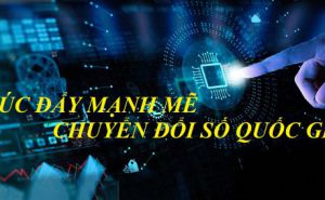 Về việc ban hành Kế hoạch hoạt động năm 2024 của Ban Chỉ đạo cải cách hành chính của Bộ Nông nghiệp và PTNT Về việc ban hành Kế hoạch hoạt động năm 2024 của Ban Chỉ đạo cải cách hành chính của Bộ Nông nghiệp và PTNT