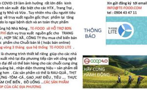 TE-FOOD Hỗ trợ 80% chi phí, dịch vụ truy xuất nguồn gốc cho Trang trại, Hợp tác xã, Công ty thu múa chế biến bán thực phẩm cho chuối bán lẻ hoặc online trong vòng 3 tháng qua hệ thống TE-FOOD LITE TE-FOOD Hỗ trợ 80% chi phí, dịch vụ truy xuất nguồn gốc cho Trang trại, Hợp tác xã, Công ty thu múa chế biến bán thực phẩm cho chuối bán lẻ hoặc online trong vòng 3 tháng qua hệ thống TE-FOOD LITE