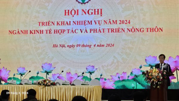 anh Tiến 2
